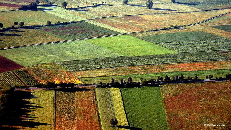 PAL (Piano di Azione Locale), e dei PSL (Piani di Sviluppo Locali) finanziati dai fondi strutturali LEADER II 94-2000_2000-2007_2007-2013